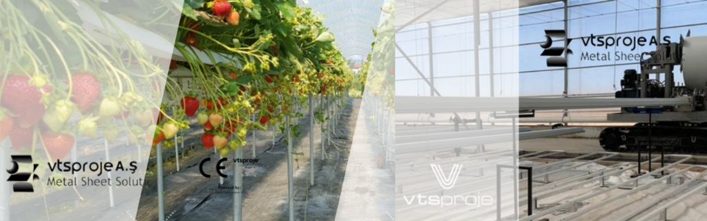 Strawberry greenhouse growing systems